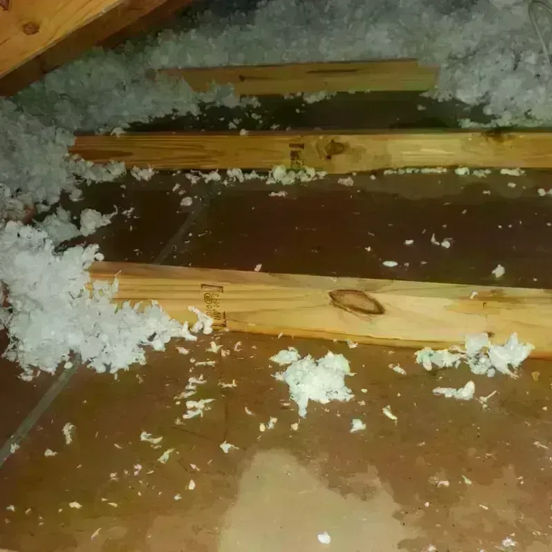 Attic Water Damage in Merrillville, IN