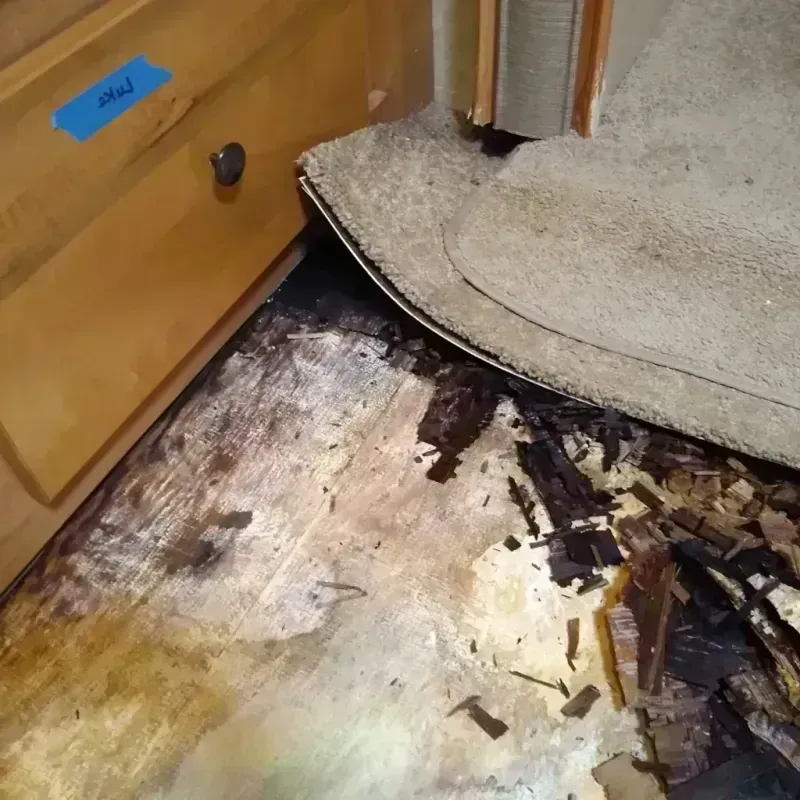 Wood Floor Water Damage in Merrillville, IN